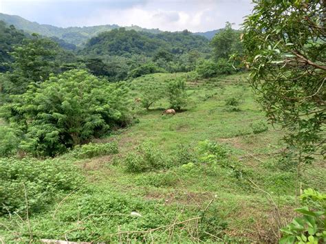 land for sale tanay rizal.